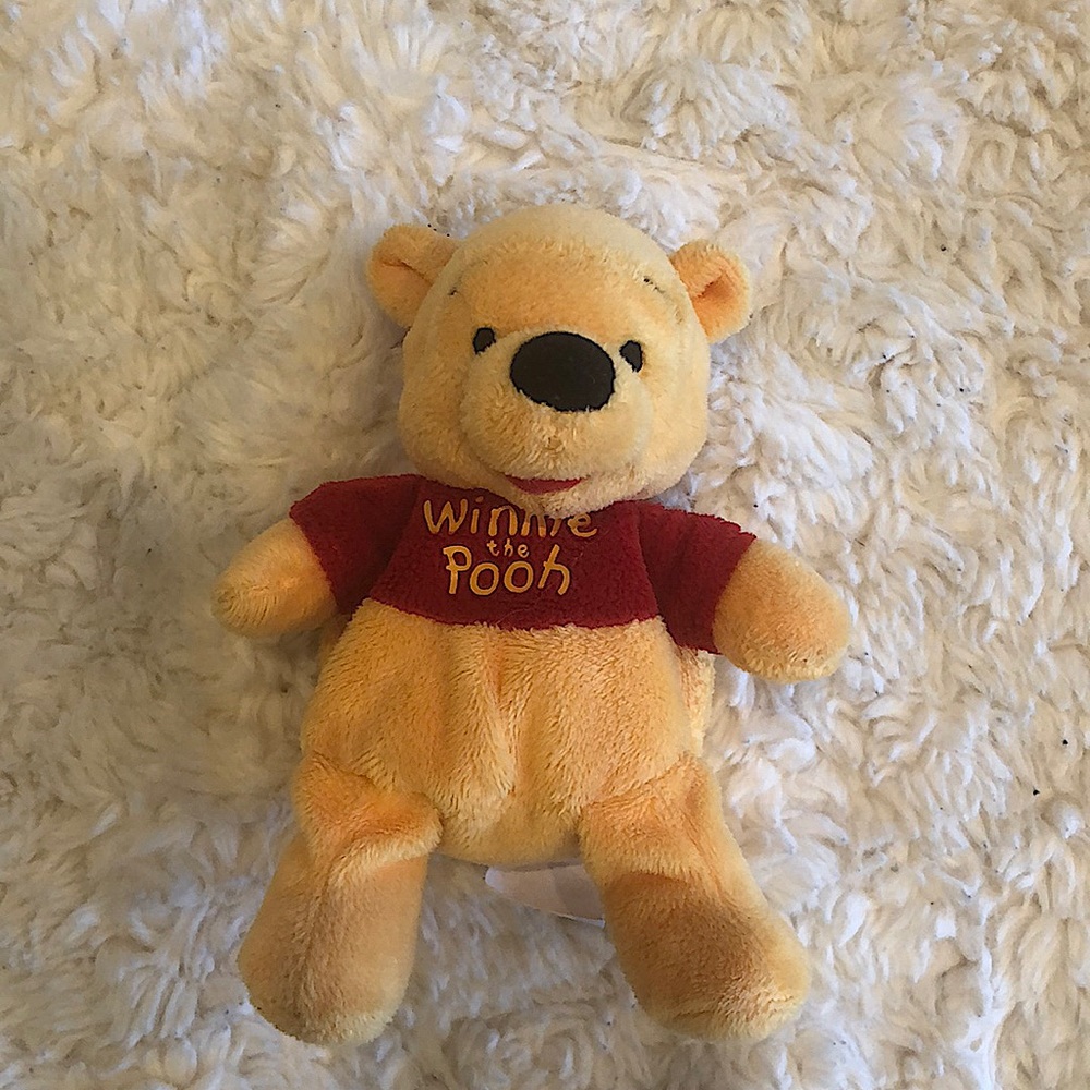 Winnie the Pooh mini plushy🍯🐝